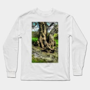 A tree in a pool of light Long Sleeve T-Shirt